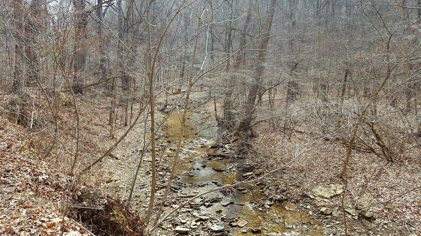 Hiking Trail, Indiana