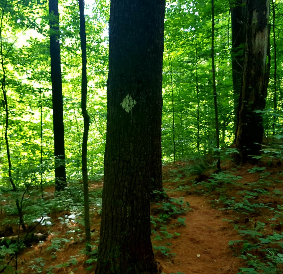 Morgan Monre -6-24-18